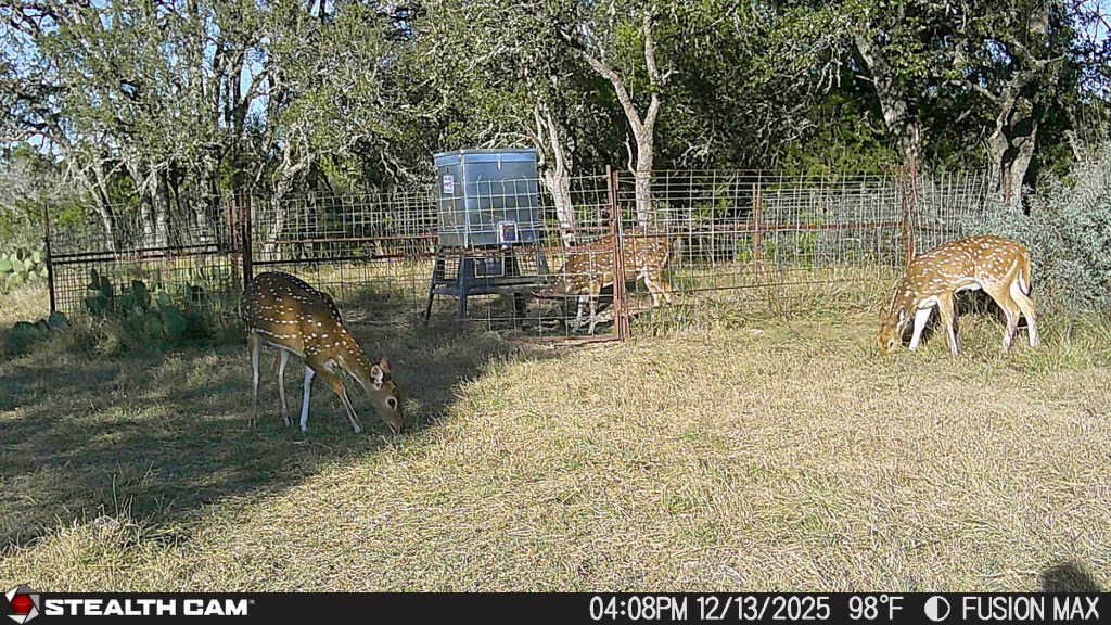 TexasWild Exchange - Browse Texas Hunting Leases, Exotics & Ranch Services