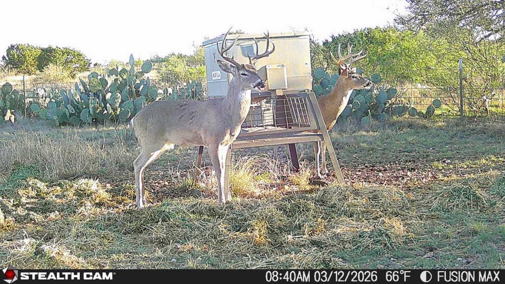 329 Acres – Prime Hunting & Recreational Ranch Near Brackettville ...